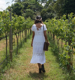 Mount Tamborine Wine Region